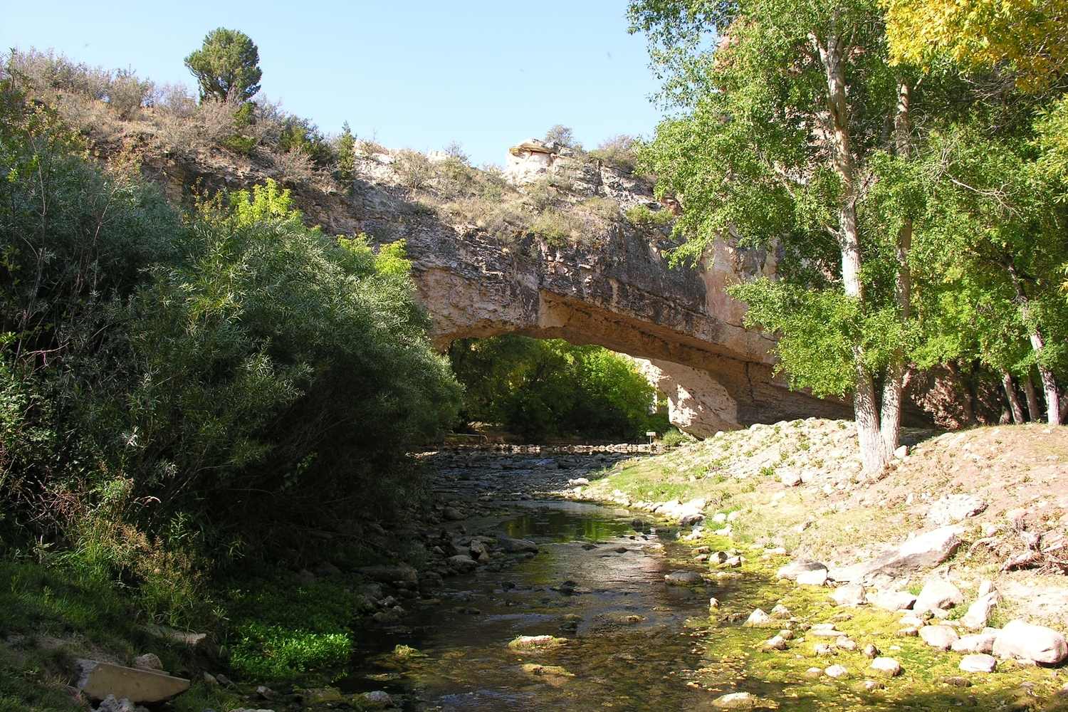 The stone arch of Ayres Natural Bridge over LaPrele Creek among cottonwoods.
