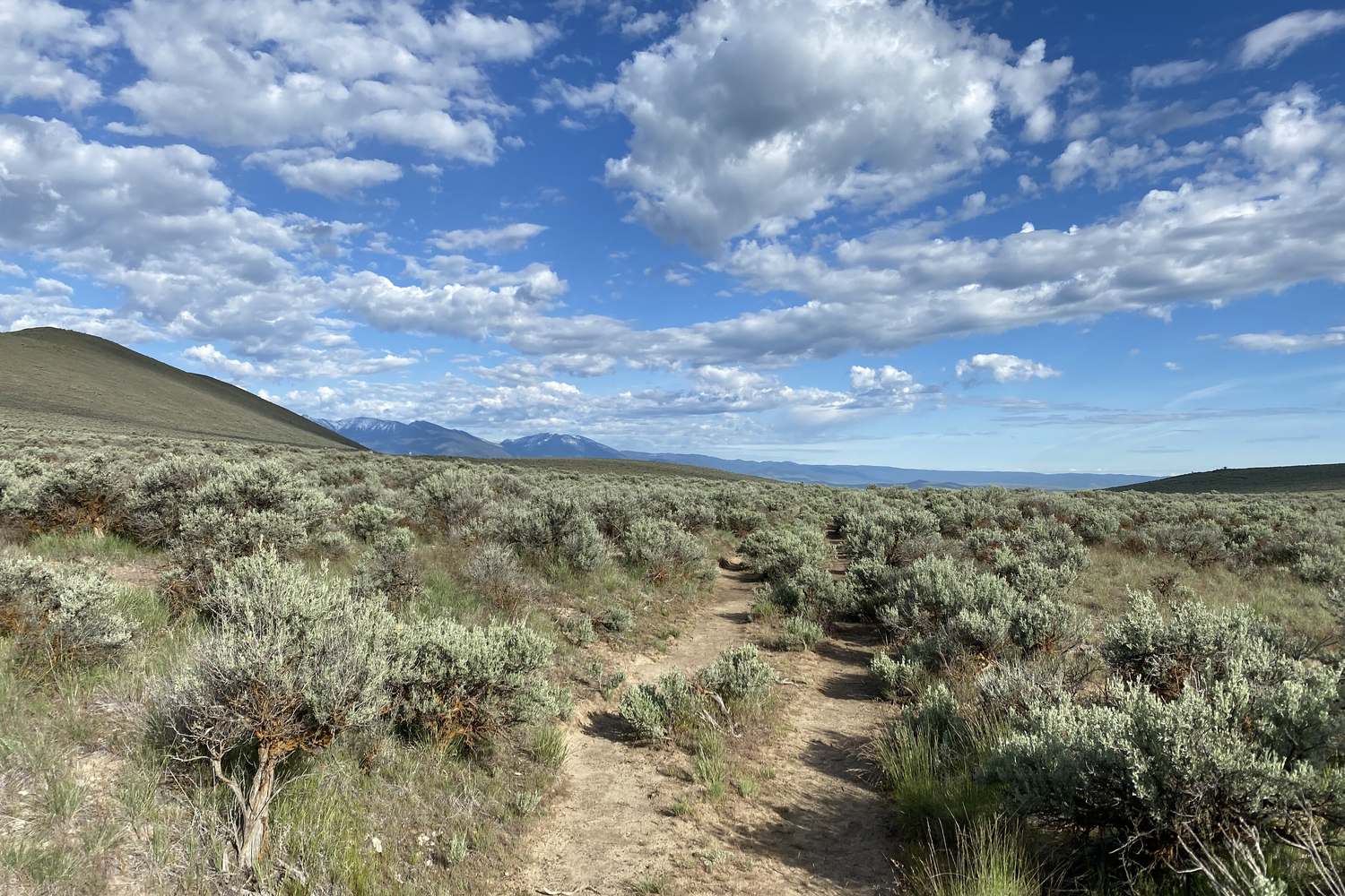 A worn trail cut through sagebrush under a big sky.